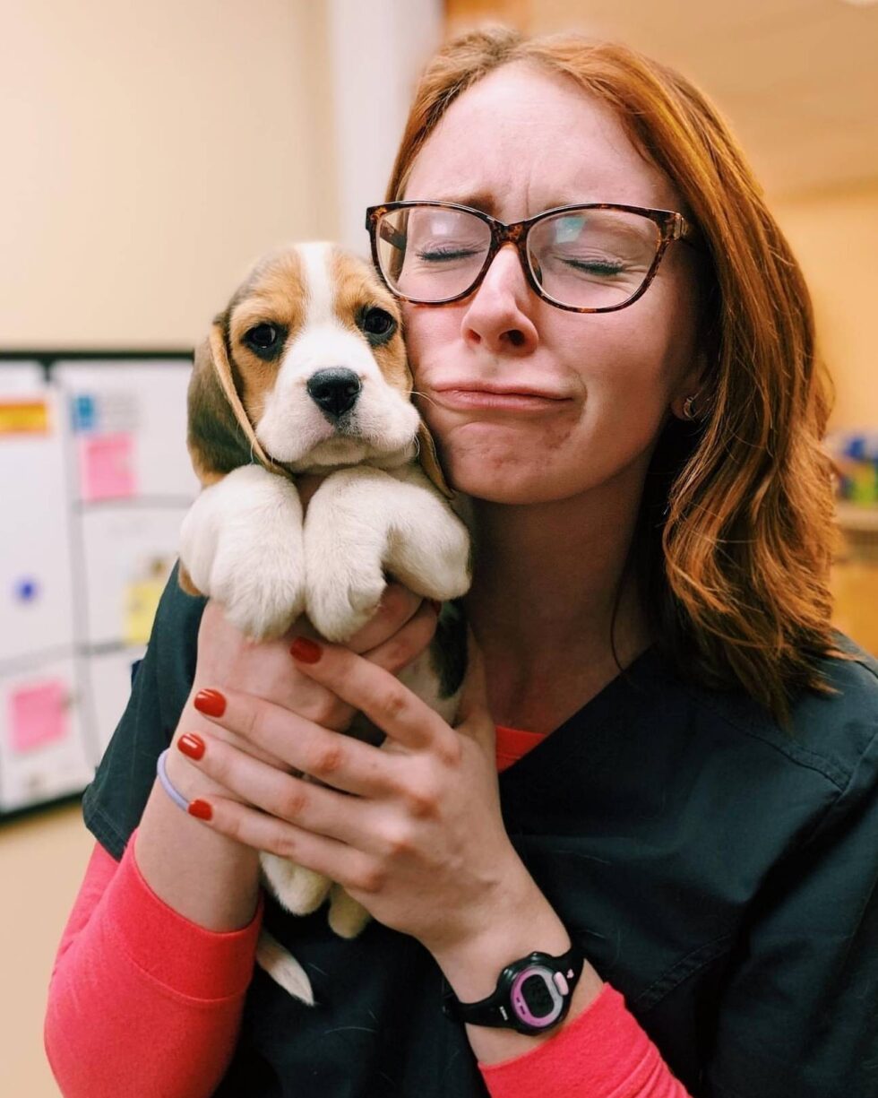 Vet Near Me Albemarle, NC Bear Creek Veterinary Hospital