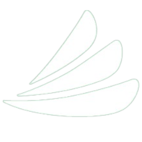 CareCredit icon new CareCredit Icon